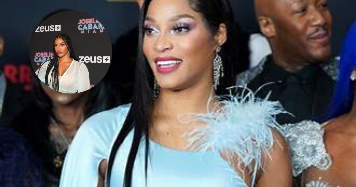 joseline-hernandez-net-worth