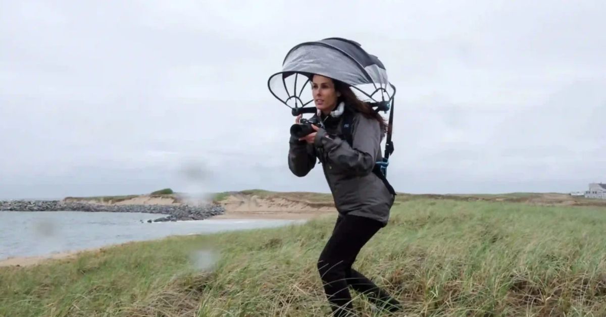 Nubrella Shark Tank Net Worth: Alan Kaufman's Umbrella Journey